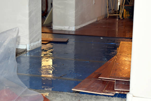 Professional Emergency Water Damage Restoration technician working in Beaverton, AL